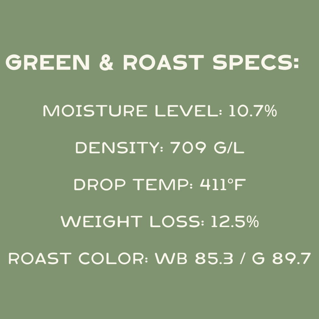 Colombia- Yellow Pacamara Natural