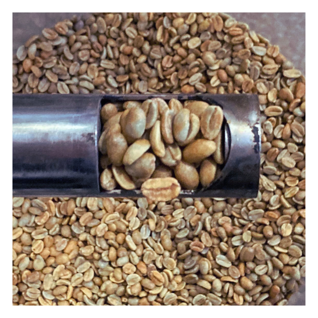Colombia- Yellow Pacamara Natural