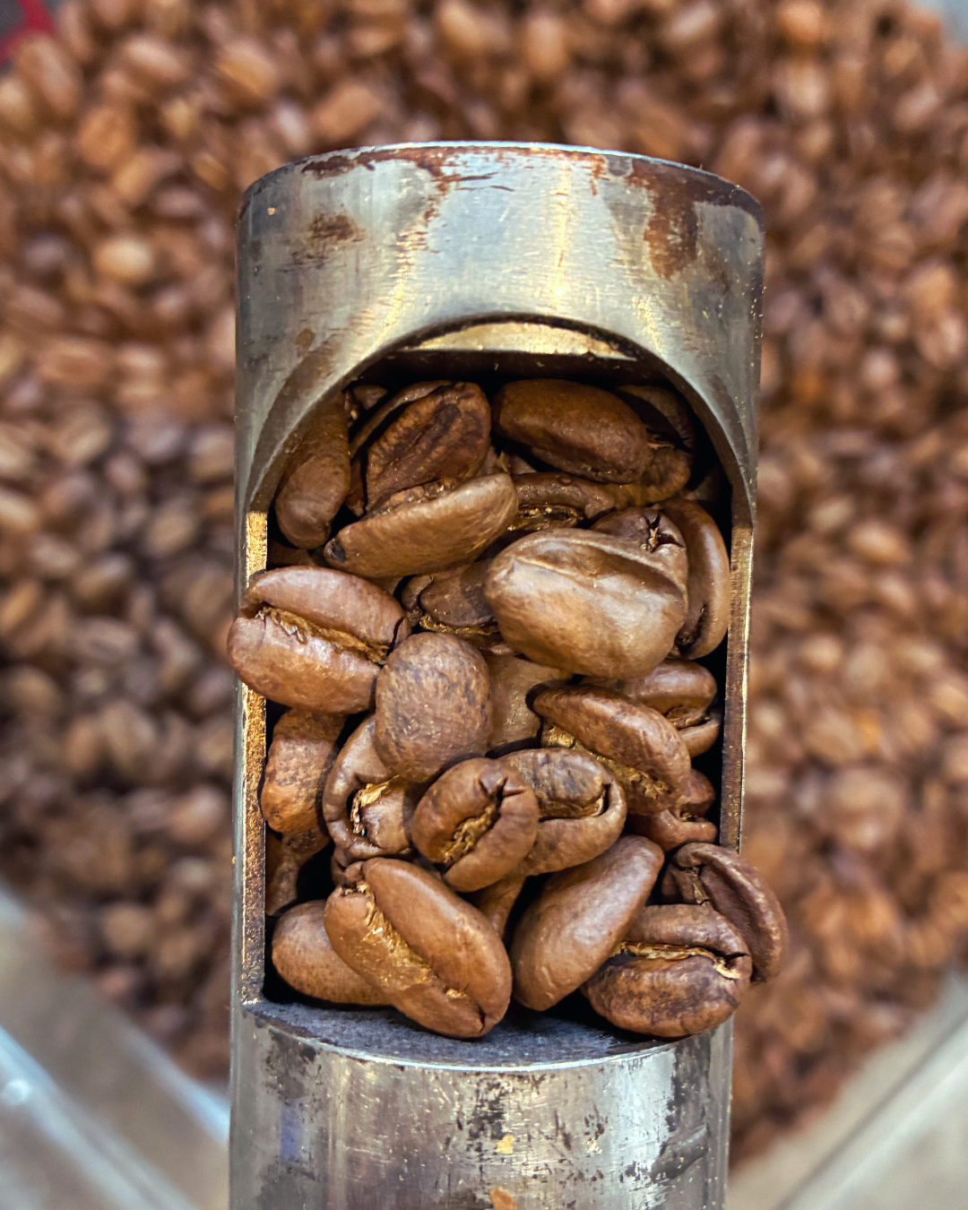 Colombia- La Florida