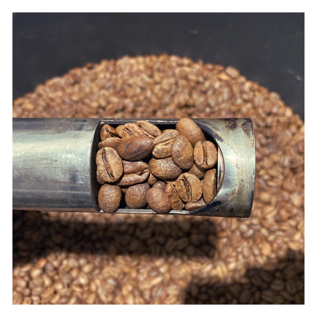 Colombia- Yellow Pacamara Natural