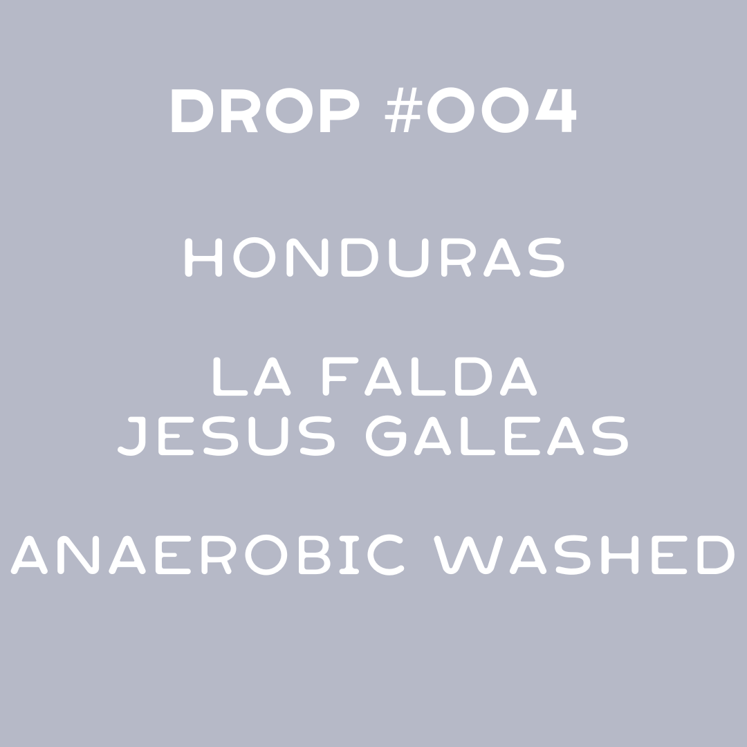 Honduras- La Falda Jesus Galeas