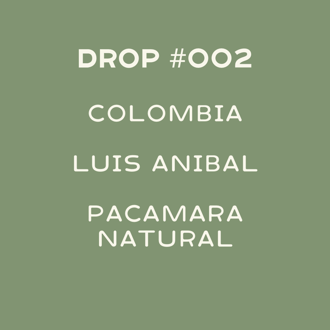 Colombia- Yellow Pacamara Natural