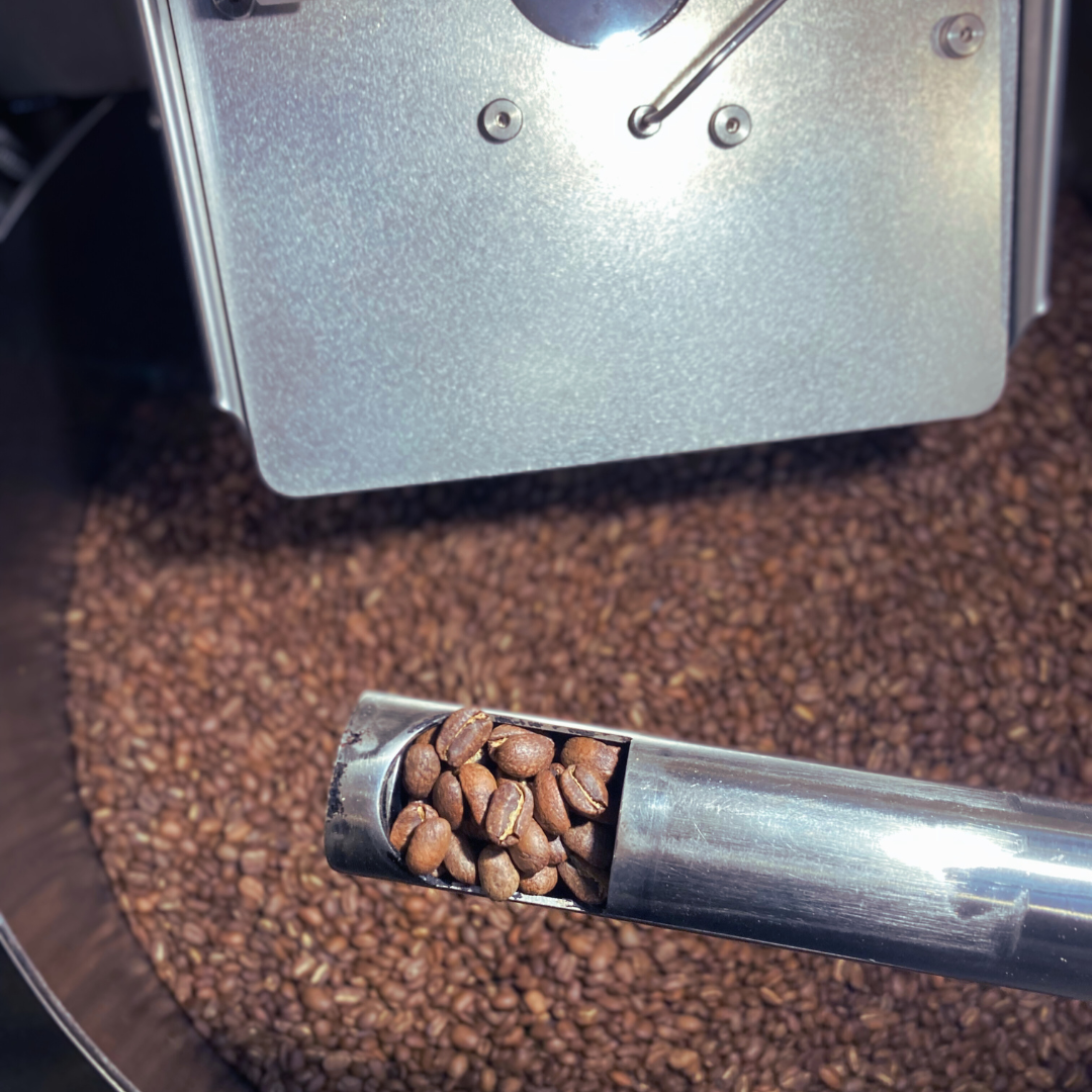Panama - Janson Geisha Lot 559