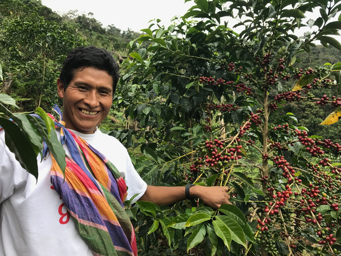 Peru- Wilson Sucaticona