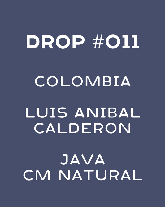 Colombia- Luis Anibal