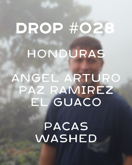 PRESALE: Honduras - El Guaco