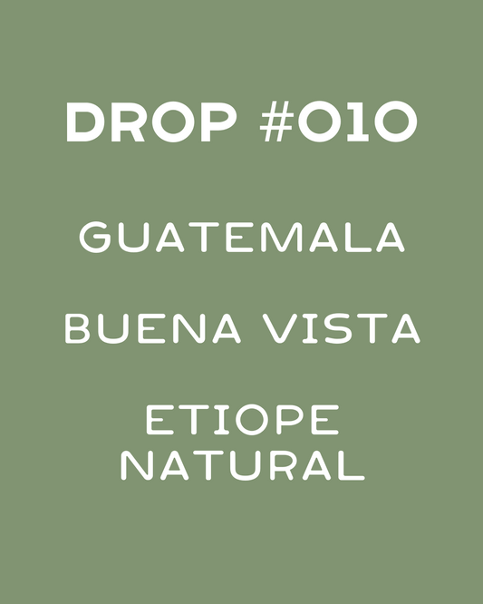 Guatemala - Buena Vista