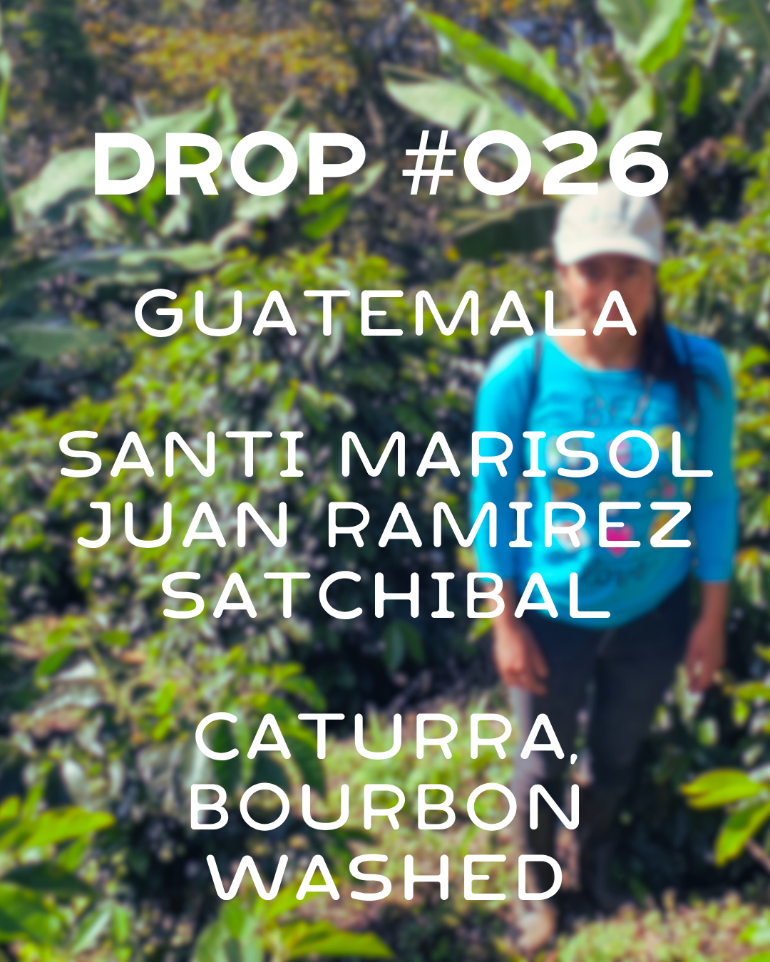 PRESALE: Guatemala- Satchibal
