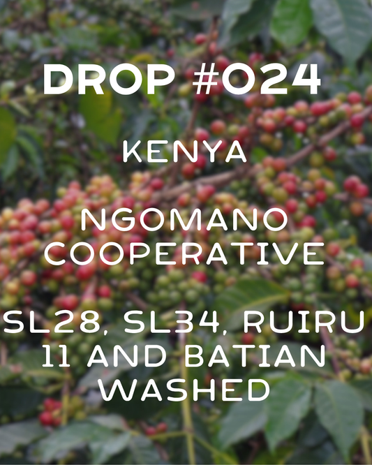 Kenya - Ngomano
