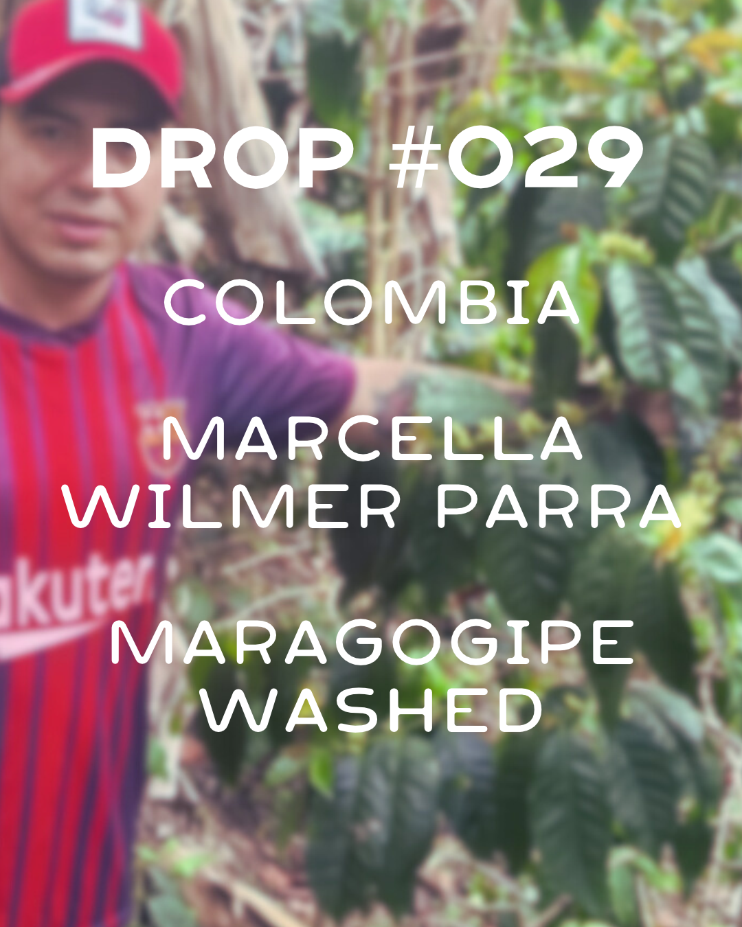 PRESALE: Colombia- Marcella