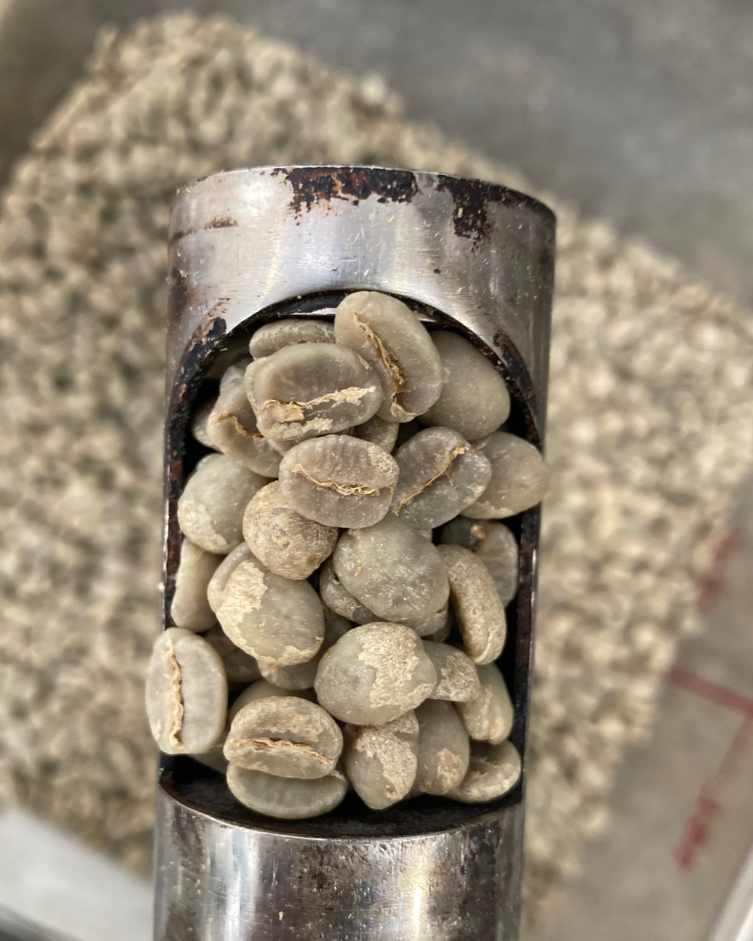 Kenya- Kayu AA