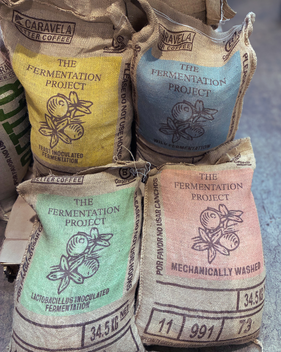 PRESALE : James Hoffmann Fermentation Project Tasting Kit