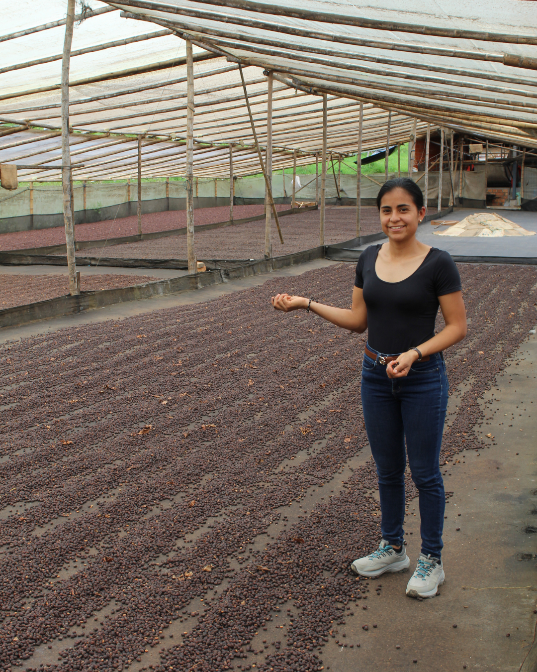 Colombia- Villa Pastora