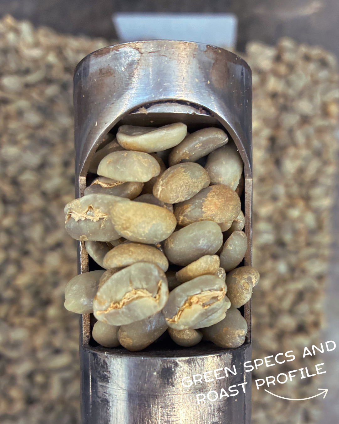 Colombia- Wilmer Stiven Parra