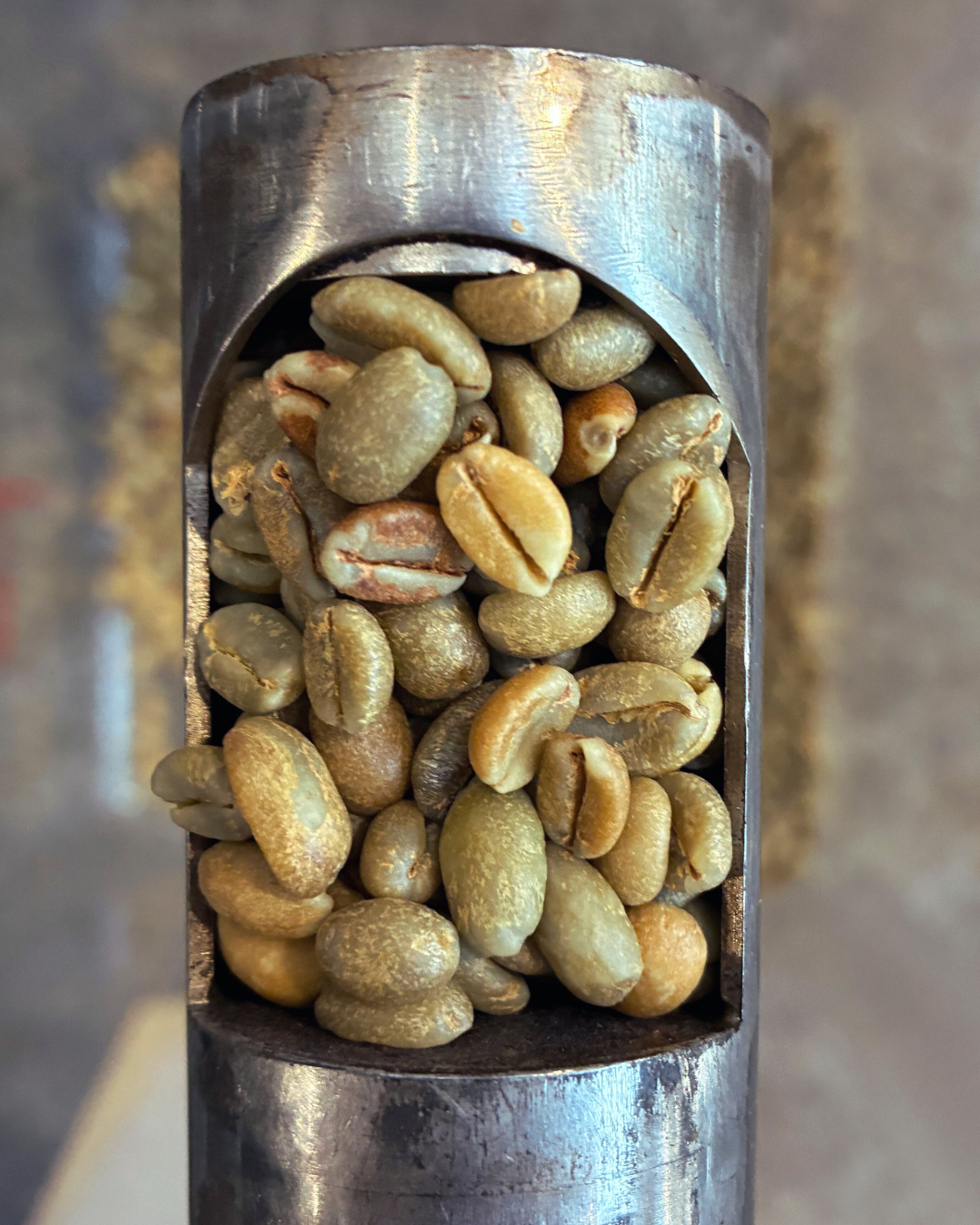 Colombia- Faver Ninco