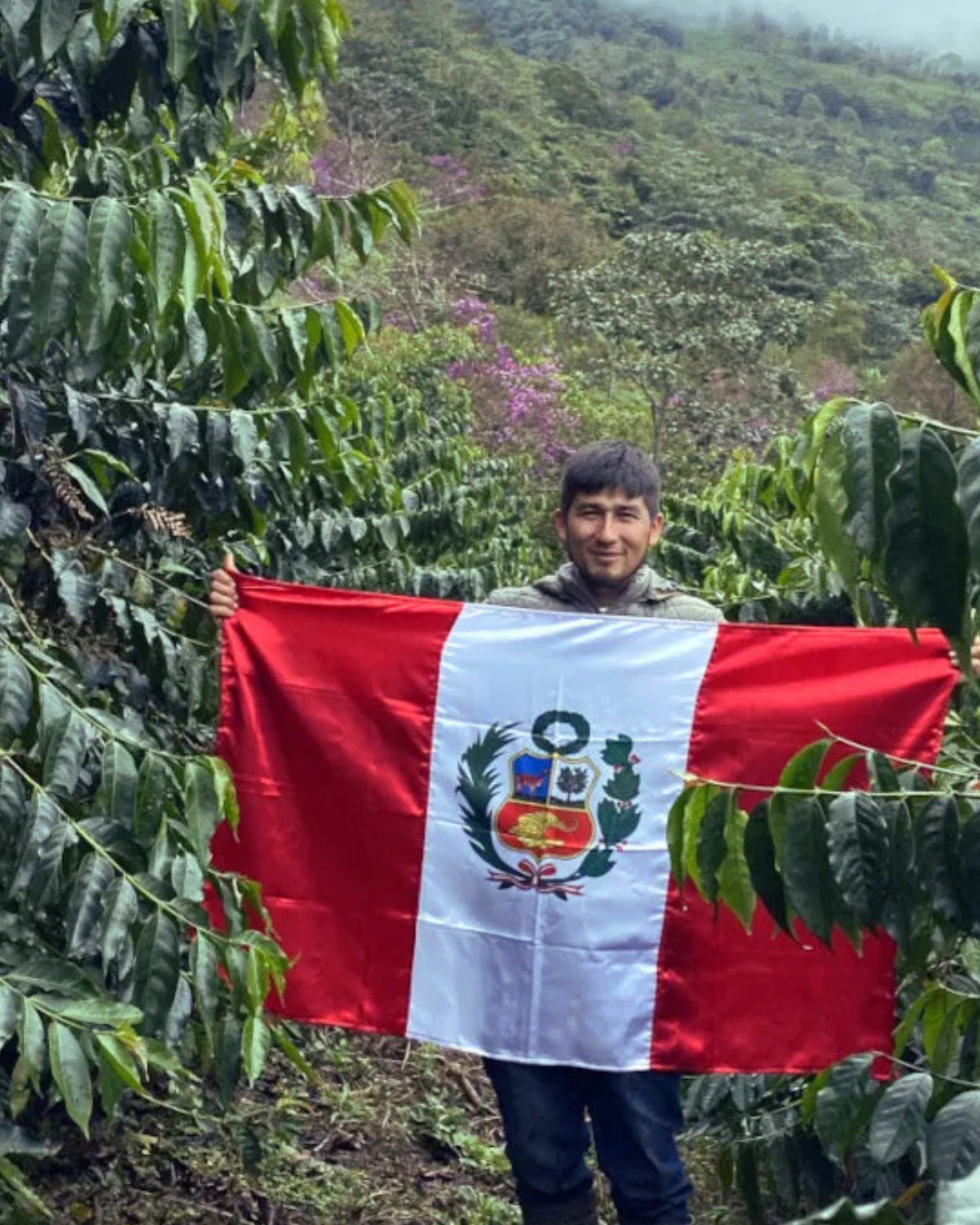 Peru- El Bebedero