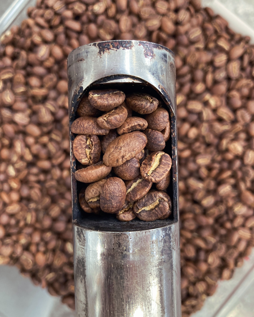 Kenya- Kayu AA