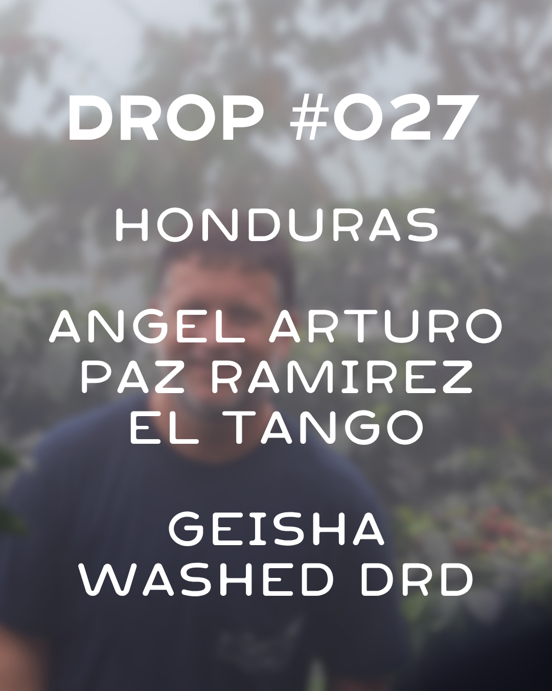 PRESALE: Honduras - El Tango