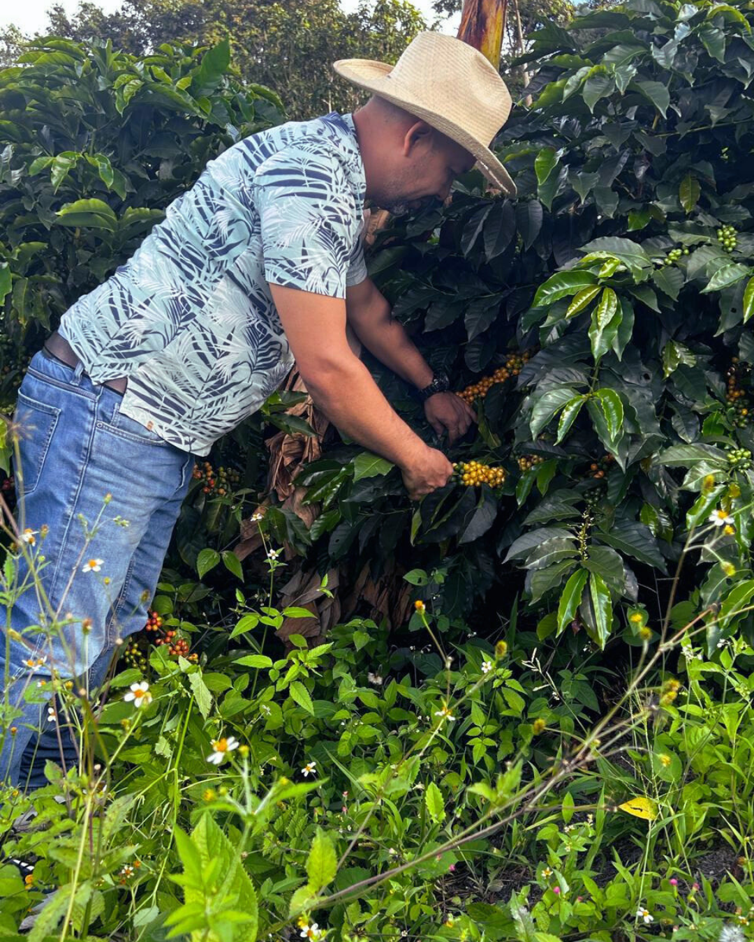 Colombia- La Florida