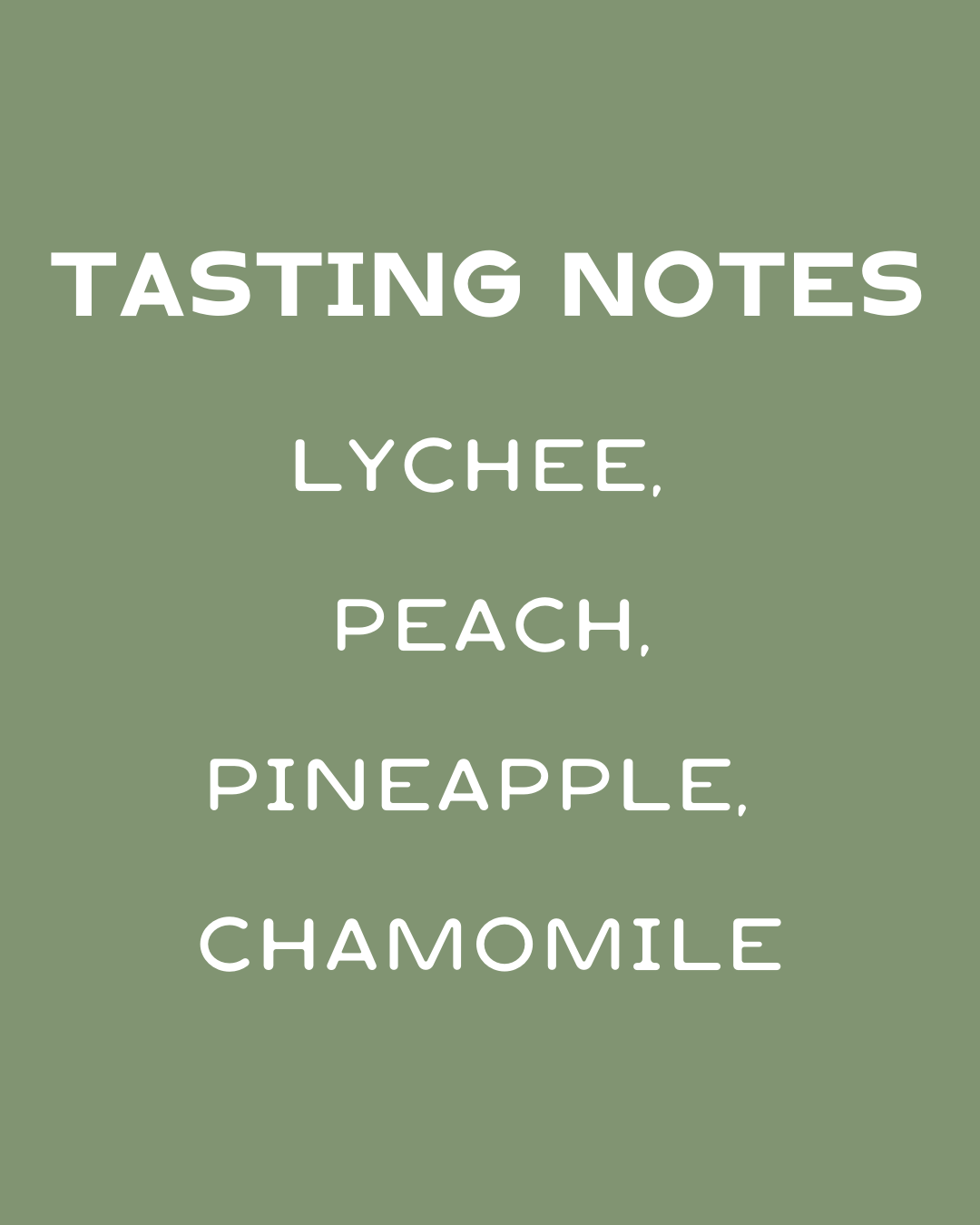 Colombia- Villa Pastora