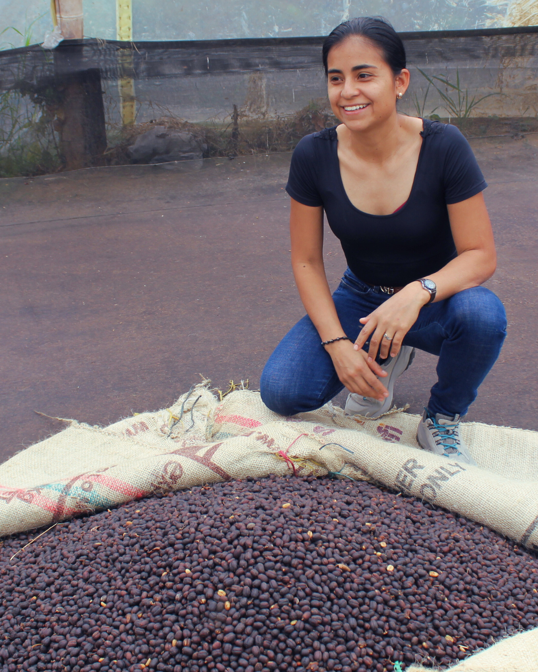 Colombia- Villa Pastora