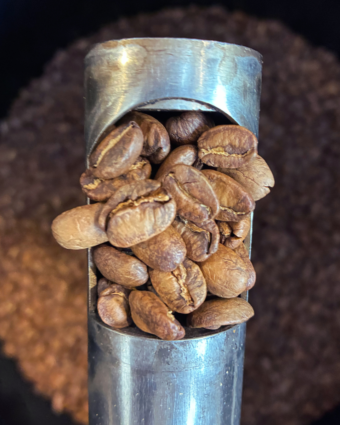 Colombia- Wilmer Stiven Parra