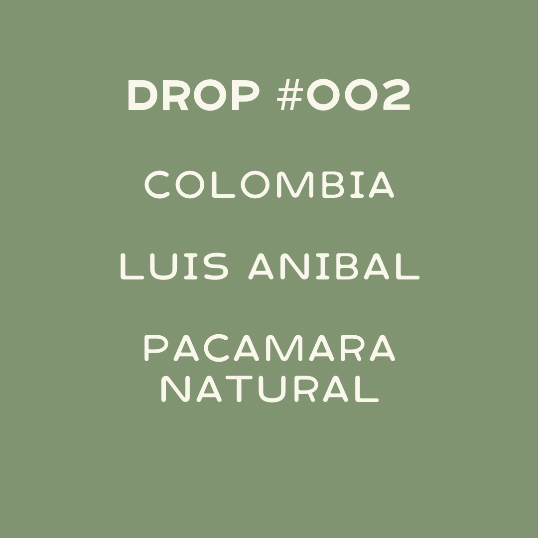 COLOMBIA- YELLOW PACAMARA NATURAL