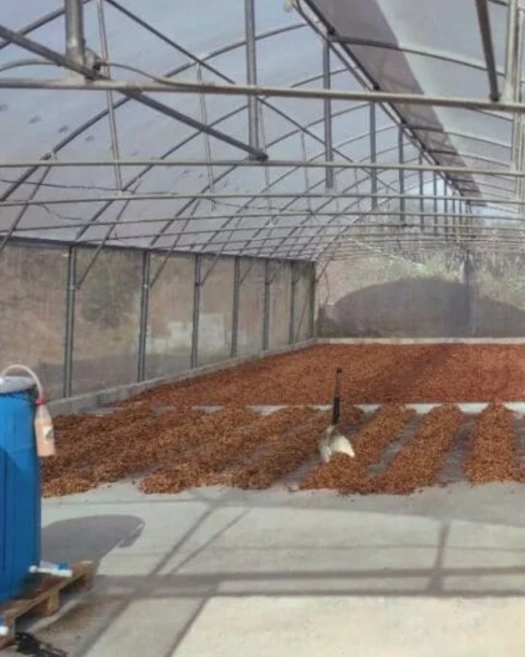 Costa Rica - Max Salazar Rodríguez