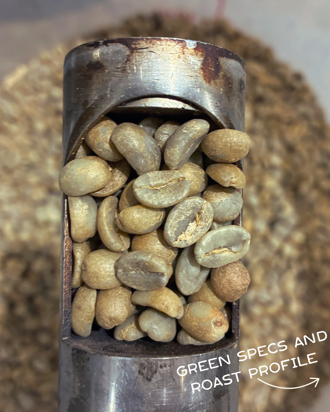 Costa Rica - Max Salazar Rodríguez