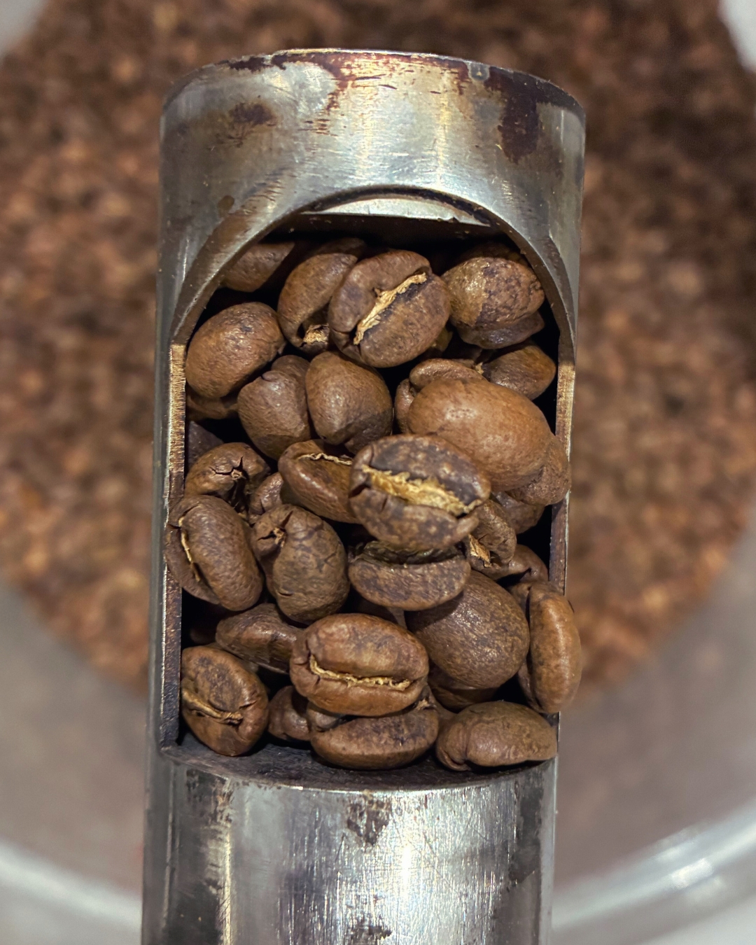 Costa Rica - Max Salazar Rodríguez