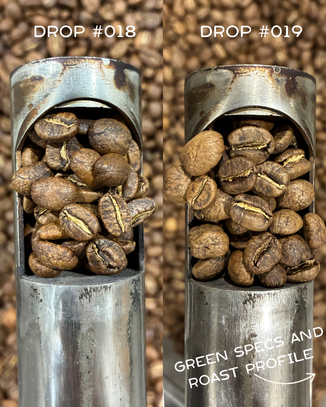 Colombia- Villa Pastora