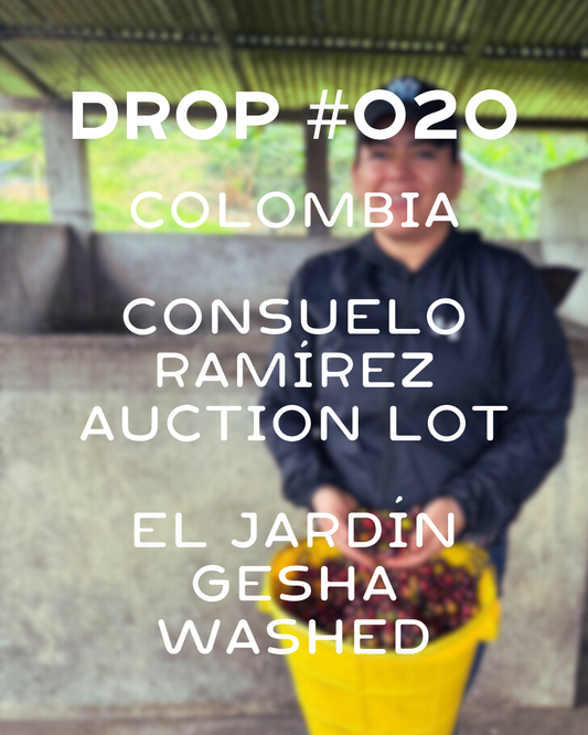 Colombia- El Jardín Auction lot