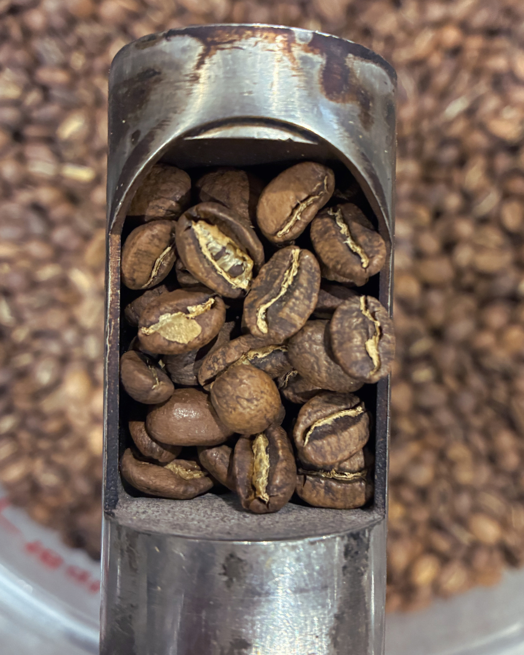 Colombia- El Jardín Auction lot