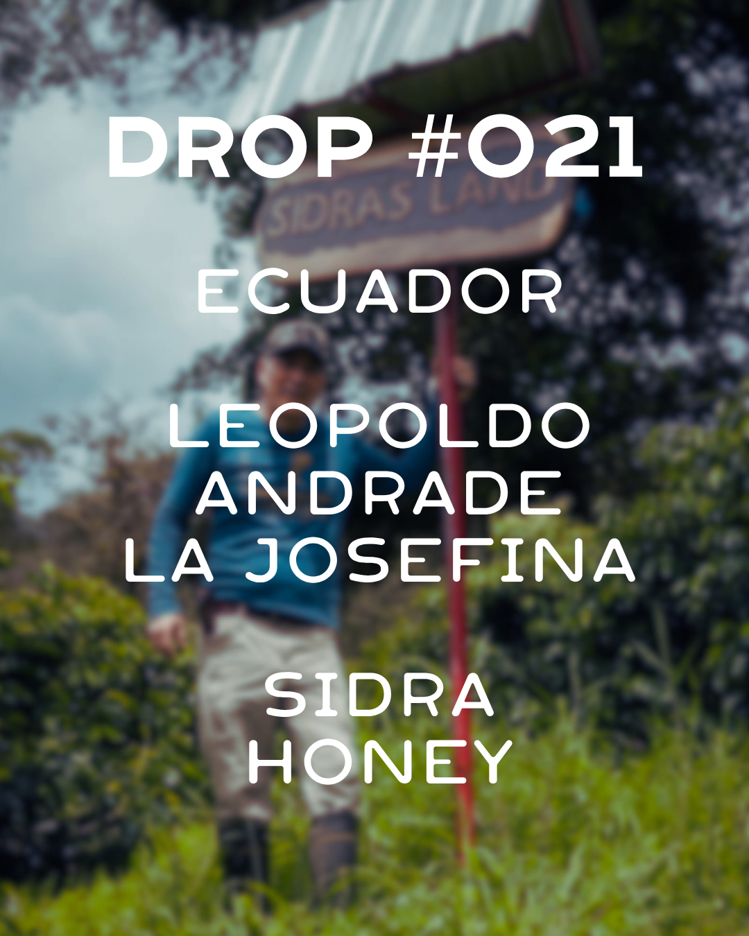Ecuador- La Josefina