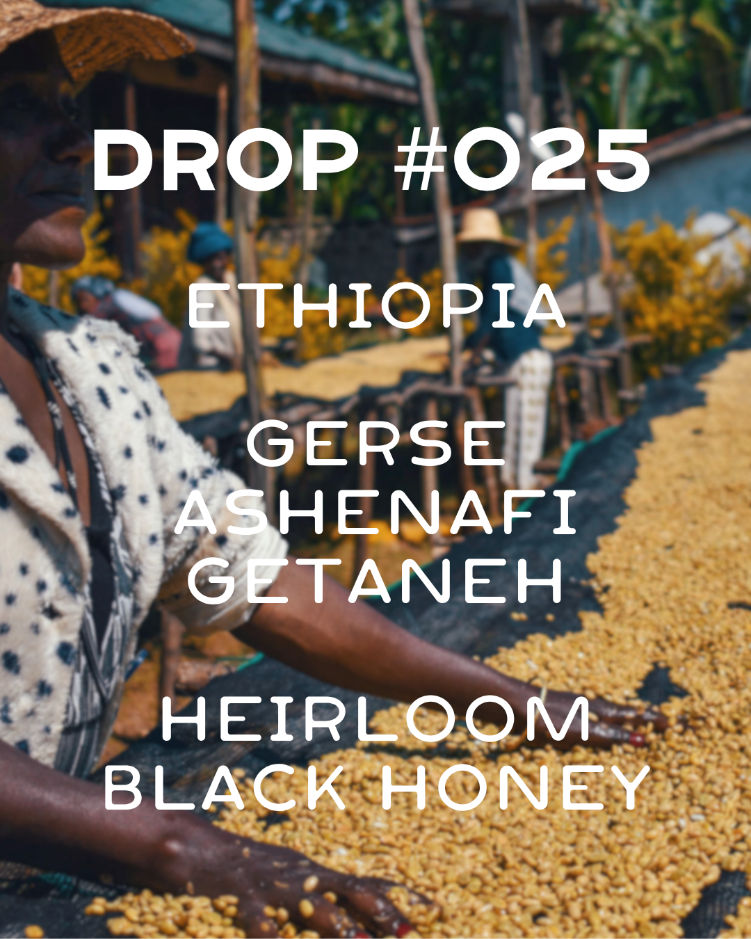 Ethiopia - Gerse