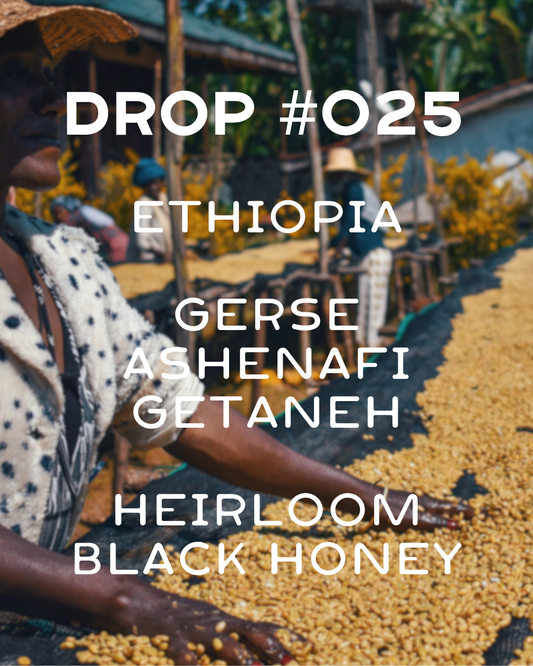 Ethiopia - Gerse