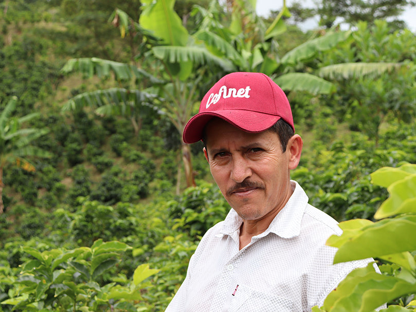 COLOMBIA- YELLOW PACAMARA NATURAL